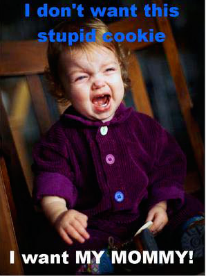 Stupid Cookie