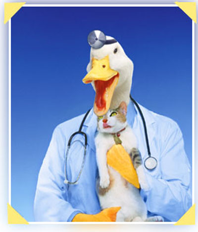 quack doctor with cat