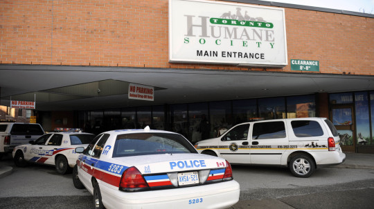 Toronto Humane Society police raid