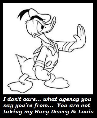 Donald Duck defends nephews
