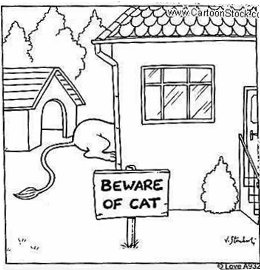 Beware of cat