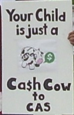 Cash Cow