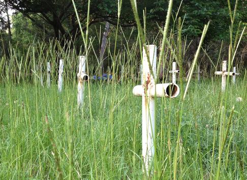 graves at Arthur G Dozier School for Boys