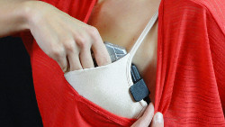 bra holster