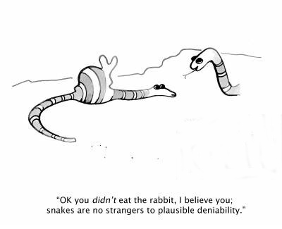 plausible deniability