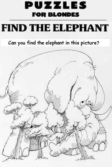 elephant